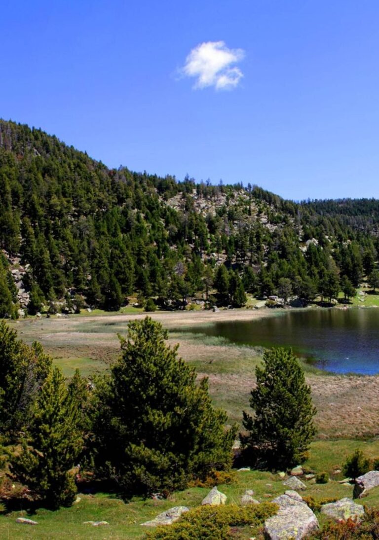 Cerdanya Valley