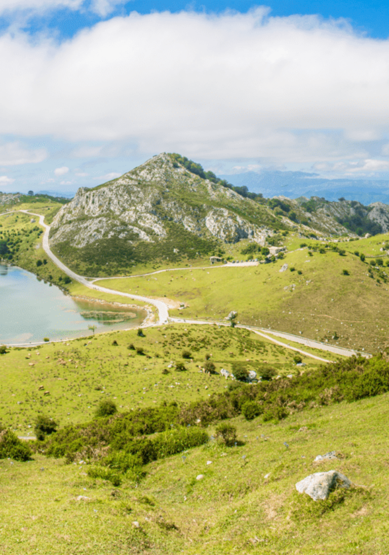 Picos de Europa