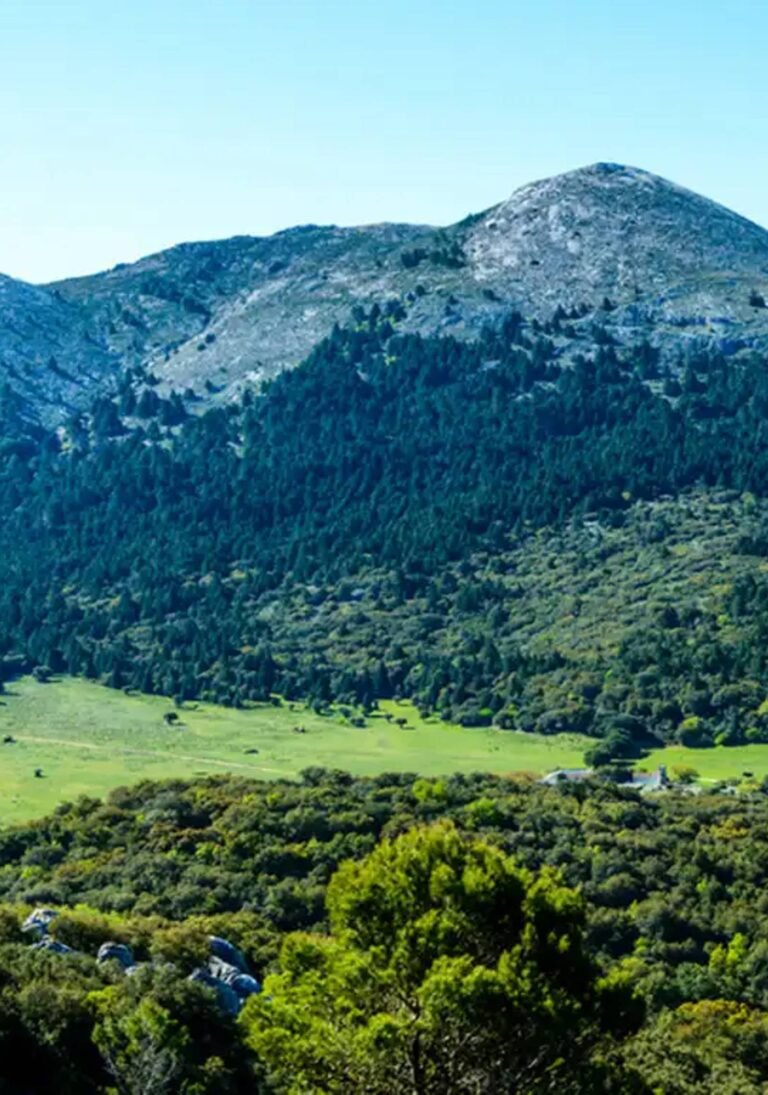 Sierra de Grazalema 